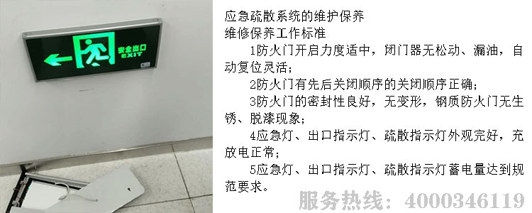宅男视频破解版APP下载网站维保