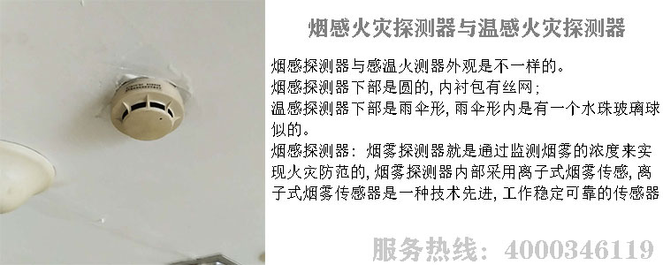 色板成人抖音宅男视频探测器